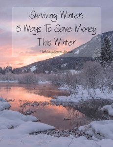 Surviving Winer: 5 Ways To Save Money