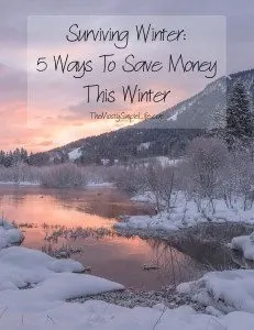 Surviving Winer: 5 Ways To Save Money