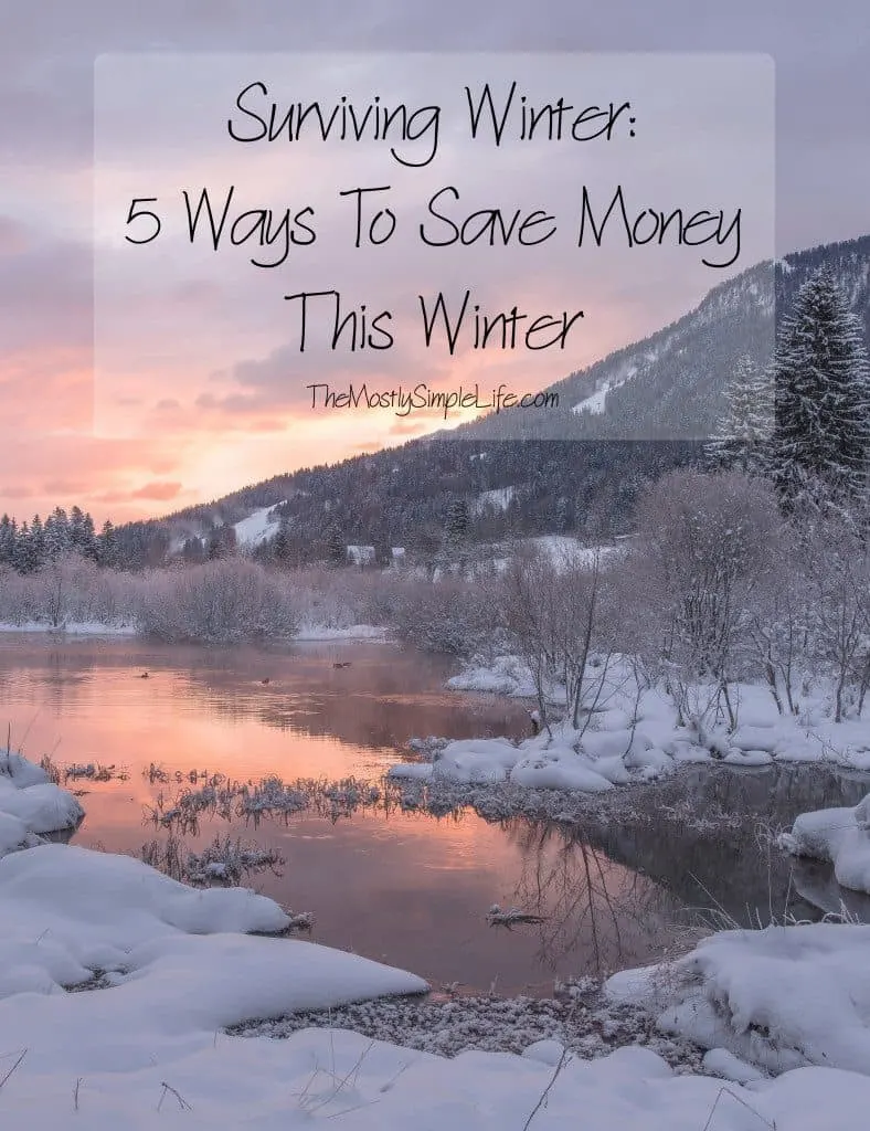 Surviving Winter: 5 Ways To Save Money This Winter. When the weather is in the single digits, we do what we can to keep our utility bills low while still staying cozy and comfortable. 