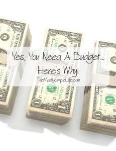 I absolutely believe that everyone needs a budget. Yes, YOU need a budget. 