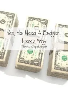 You Need a Budget