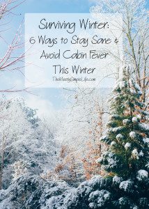 Surviving Winter: 6 Ways To Stay Sane & Avoid Cabin Ferver This Winter. Try these 6 activities to keep from going crazy in the cold. 