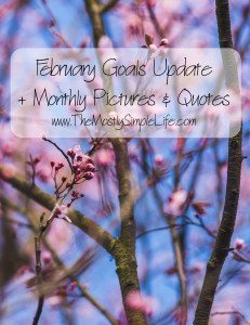 February Goals Update + Pictures & Quotes