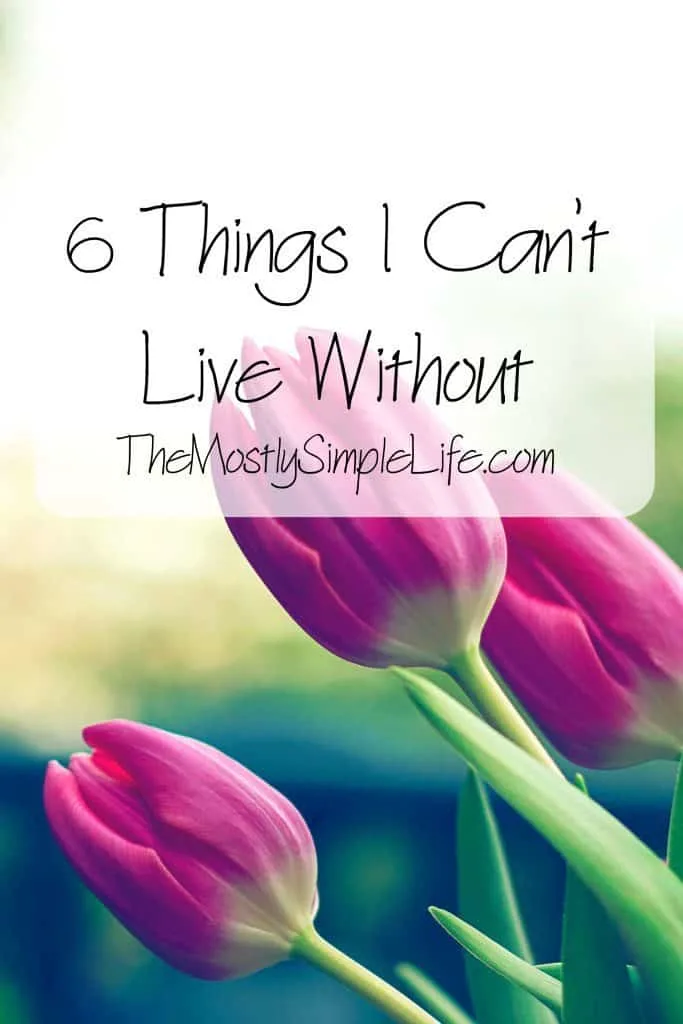 6 things I can't live without - fun list! 