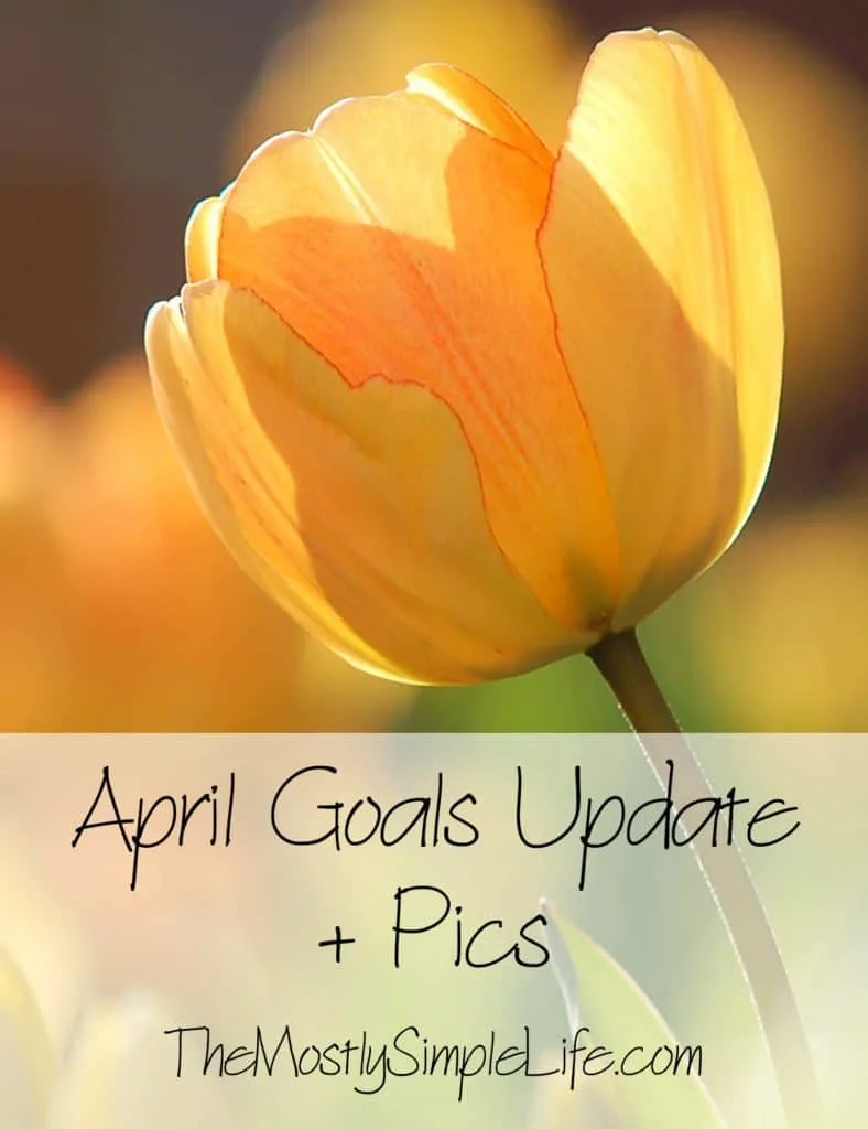 April Goals Update + Pics