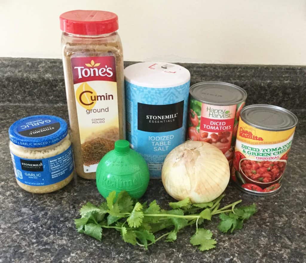 AllTime Favorite Easy Blender Salsa The (mostly) Simple Life