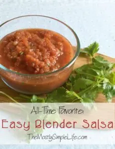 easy blender salsa pic