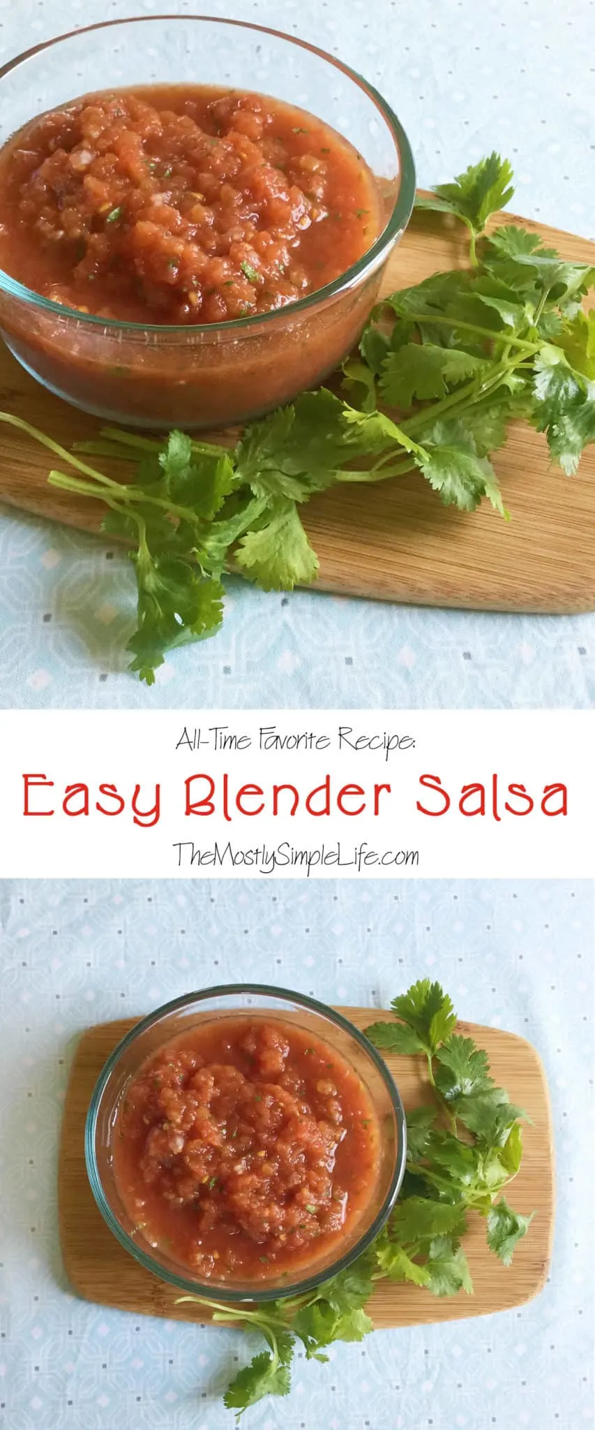 All-Time Favorite: Easy Blender Salsa