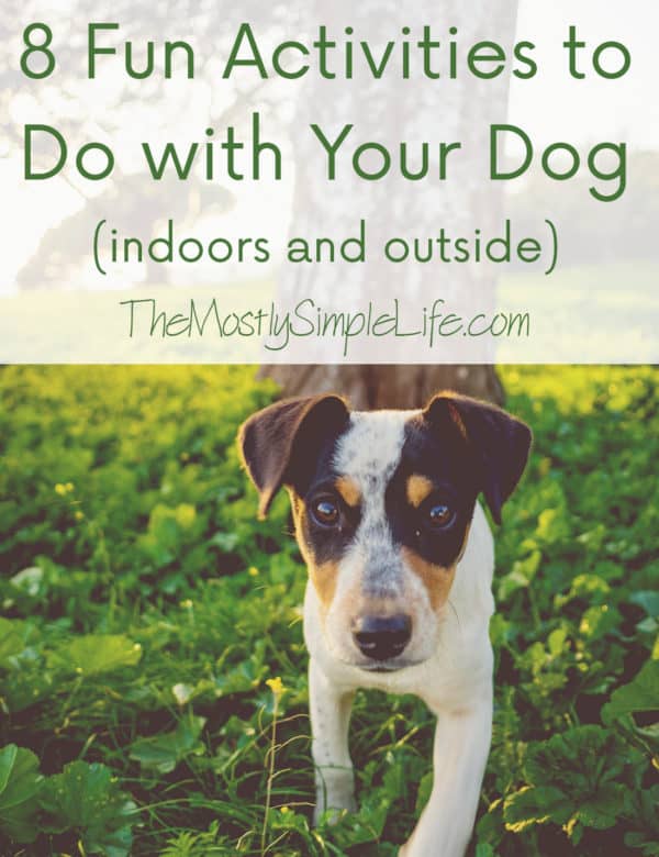 Fun With Pets 8 Fun Activities to Do with Your Dog - The (mostly) Simple Life