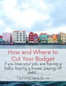 how and where to cut your budget