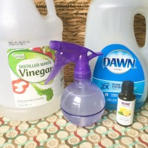 The Only 2 Natural Cleaning Recipes You Need: All Purpose Cleaner