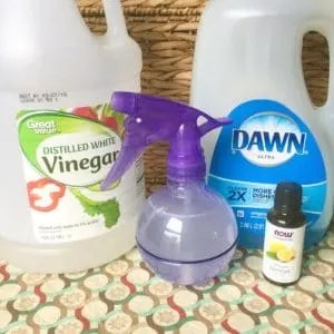 The Only 2 Natural Cleaning Recipes You Need: All Purpose Cleaner