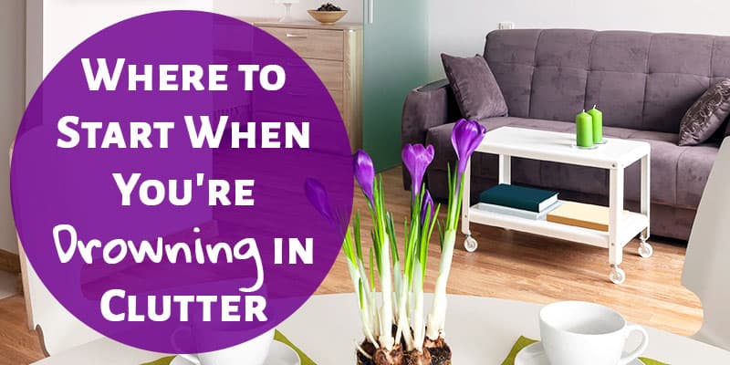 where to start when drowning in clutter