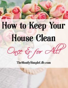 feature-keep-house-clean