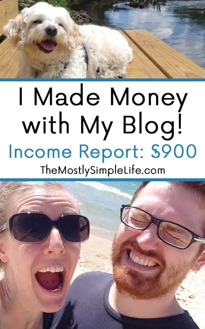 I Made Money with My Blog! Income Report