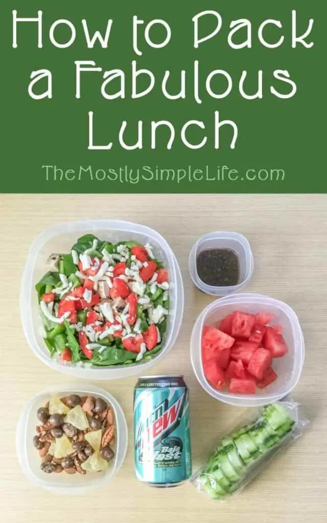 How to Pack a Fabulous Lunch: Save money on food by packing a sack lunch to bring to work or school. Great sack lunch ideas for a delicious and nutritious lunch. Pin and save these ideas for later! 