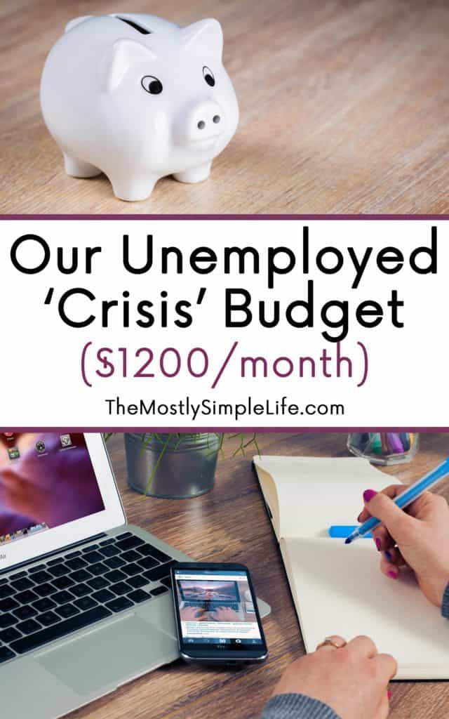Our Unemployed 'Crisis' Budget | How to budget when you're unemployed. How we cut back our expenses and survived unemployment. Plus, how we made money while we were unemployed. 