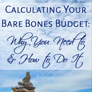 feature-bare-bones-budget