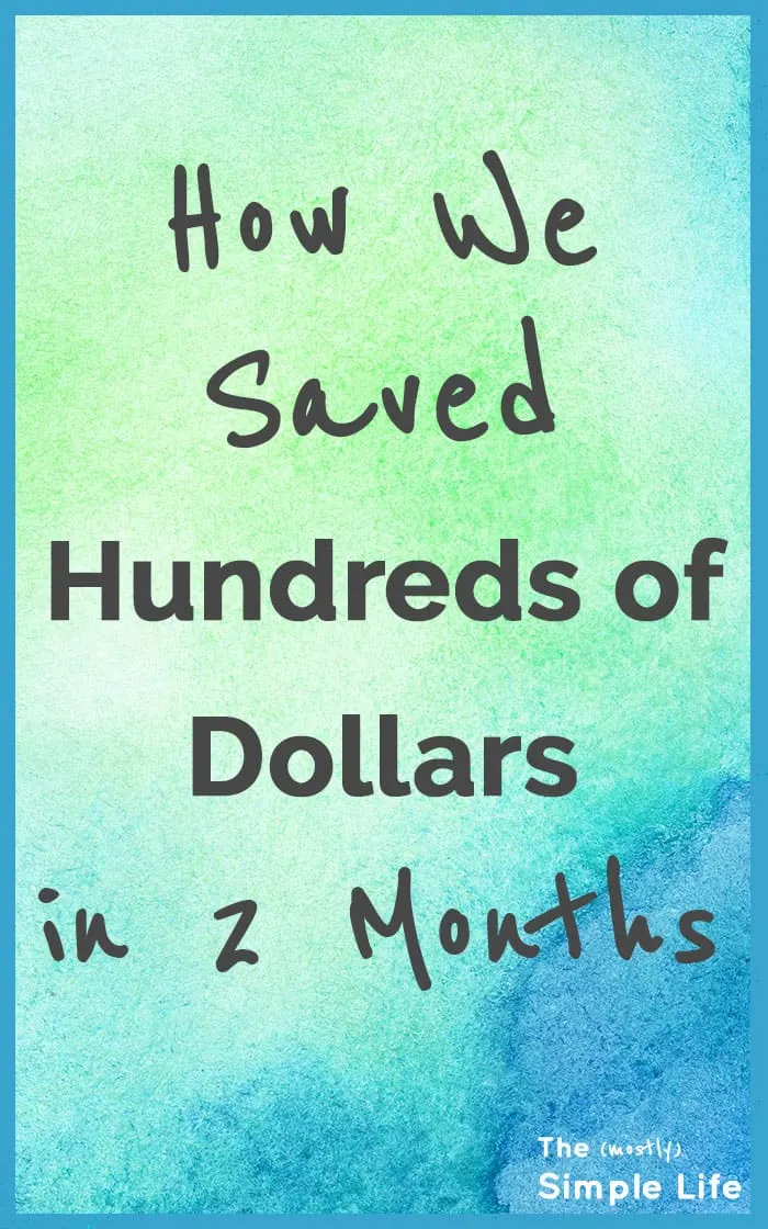 How We Saved Hundreds of Dollars in 2 Months