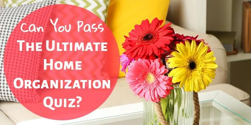 Can You Pass the Ultimate Home Organization Quiz? Answer These 3 Questions!