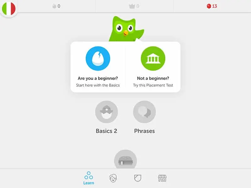 Frugal Ways to Learn a Foreign Language - Duolingo