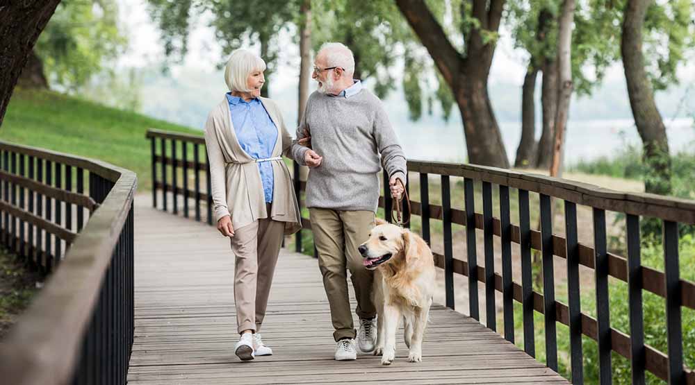 older couple walking together with dog