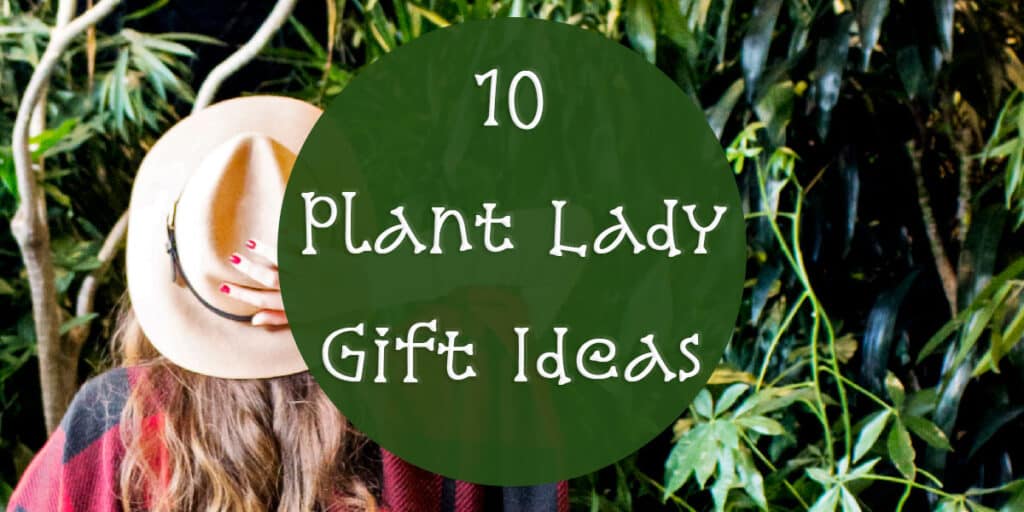 10 Plant Lady Gift Ideas