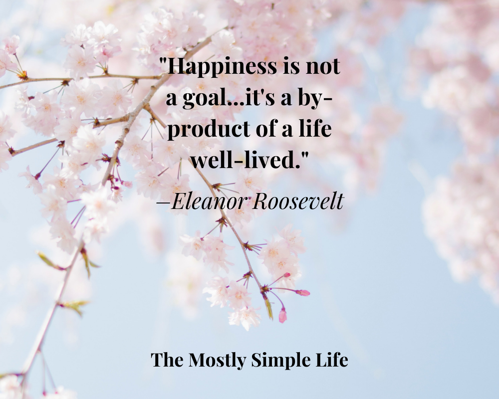 110 Simple Life Quotes to Inspire You to a Simple & Happy Life - The (mostly) Simple Life