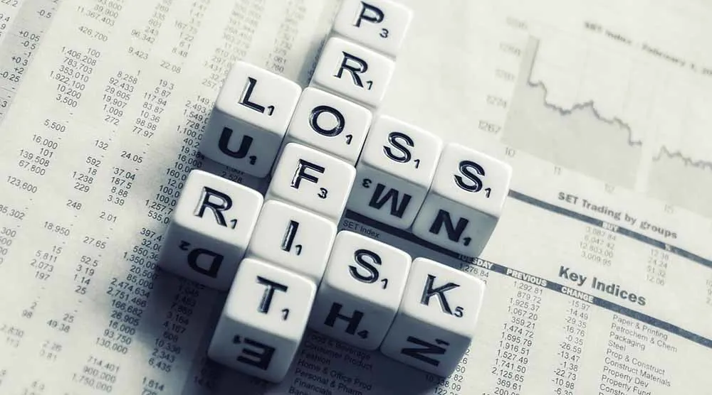 profit, loss and risk