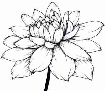 30 Easy Flower Sketches for Beginners [With Printables] - The (mostly ...