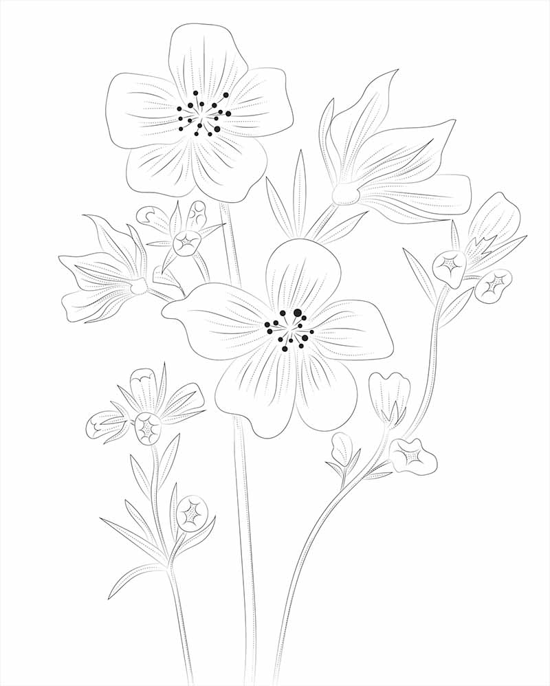 30 Easy Flower Sketches for Beginners [With Printables] - The (mostly)  Simple Life