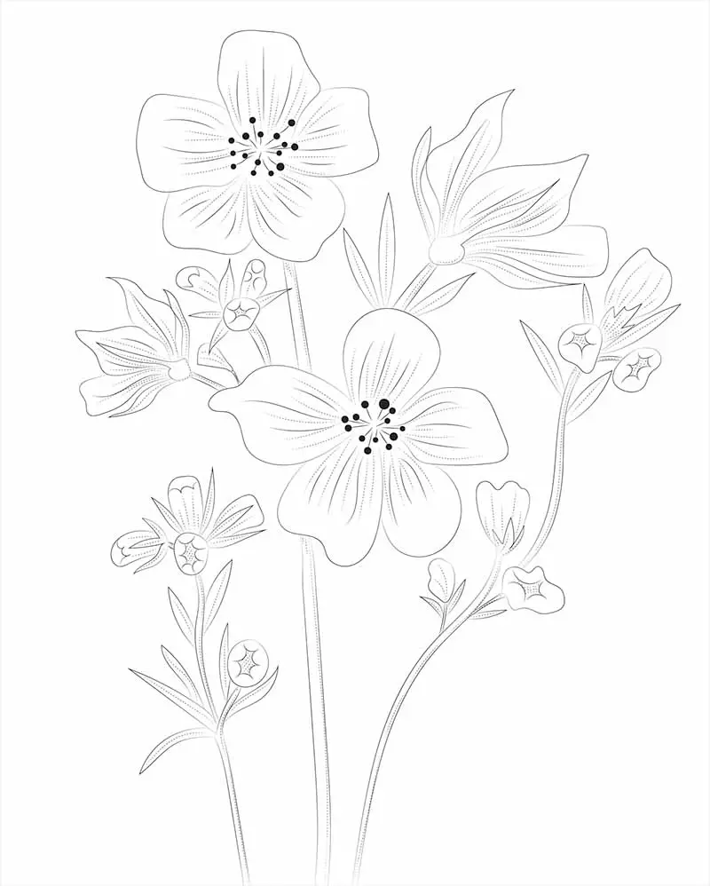 Download Flower Sketch Drawing RoyaltyFree Stock Illustration Image   Pixabay