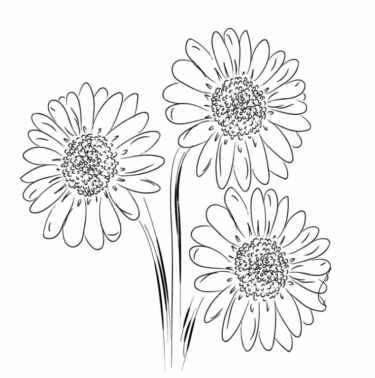 30 Easy Flower Sketches for Beginners [With Printables] - The (mostly ...