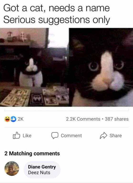 101 Most Upvoted Deez Nuts Jokes [AllTime Leaderboard] The (mostly