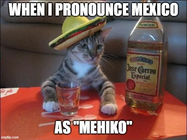 cat with a sombrero meme