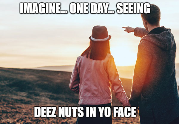 romantic deez nuts meme