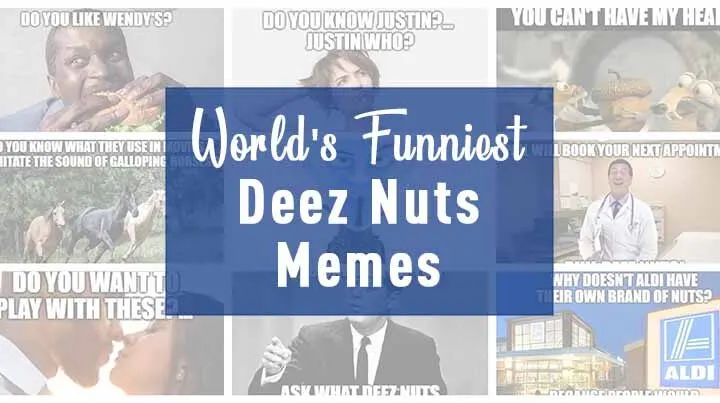 world's funniest deez nuts memes