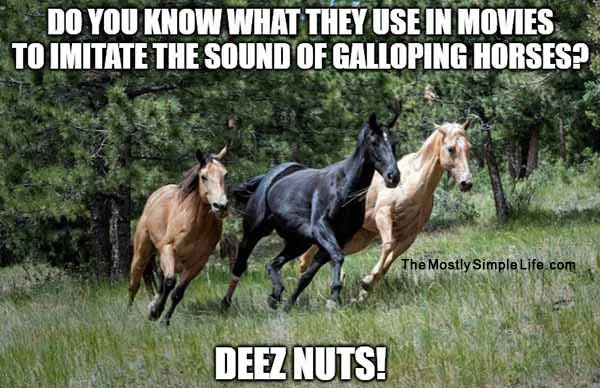deez nuts meme with horses galloping