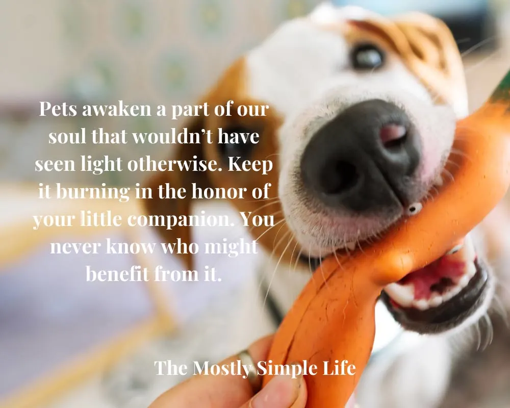 comforting quotes about losing a pet dog