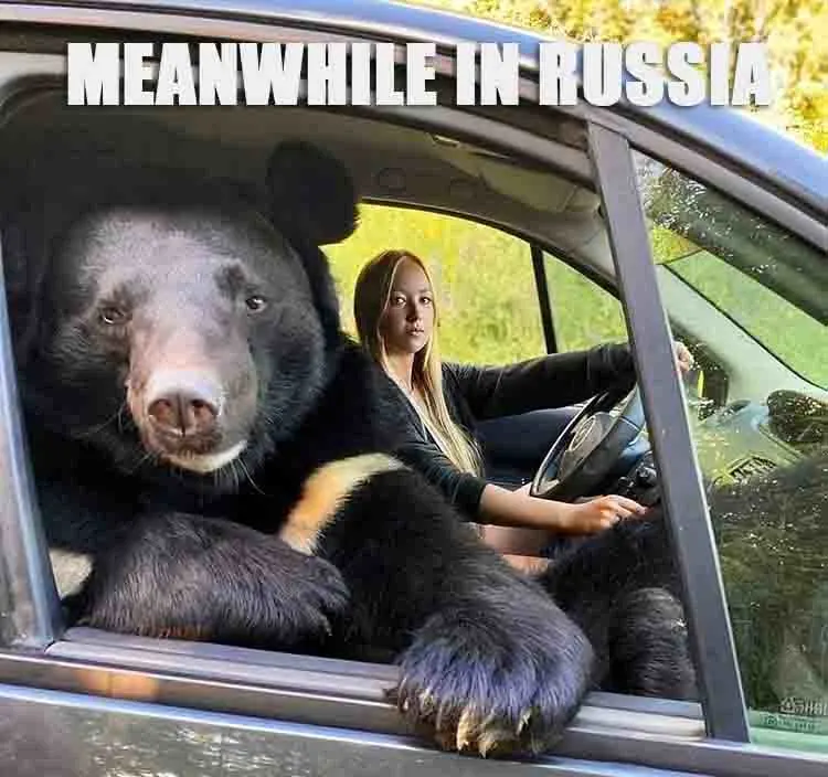 meanwhile in russia joke