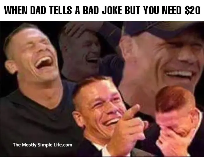 dad meme with John Cena about needing $20