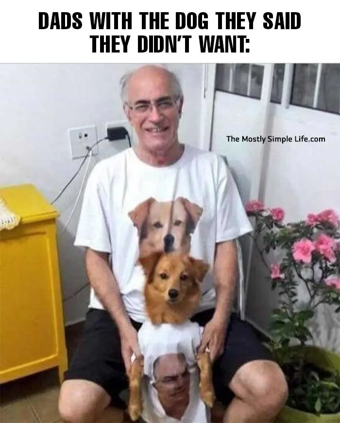 dad meme about unwanted dog