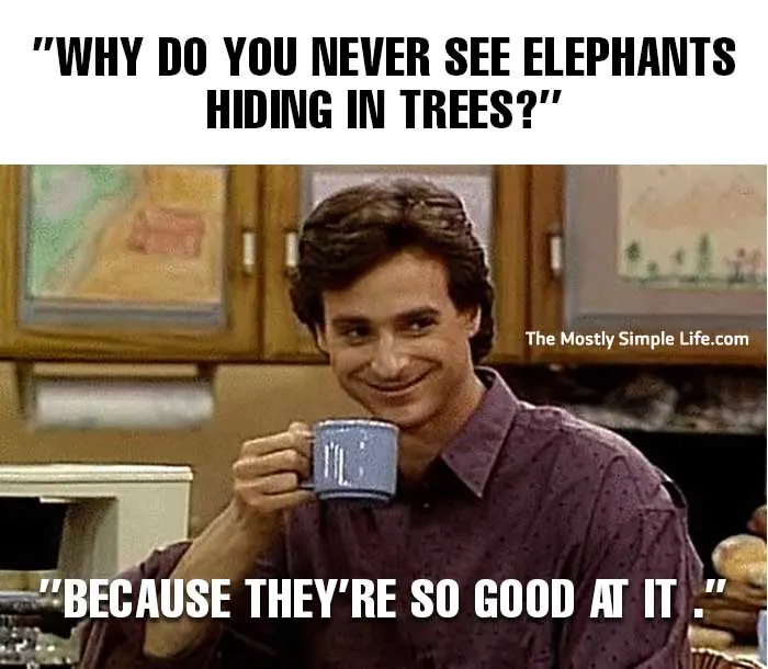 dad meme with Bob Saget with elephant joke