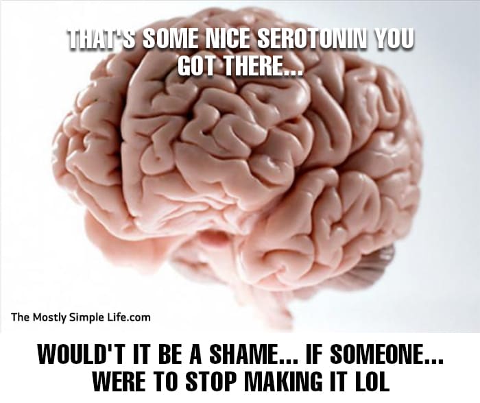 depression meme about serotonin