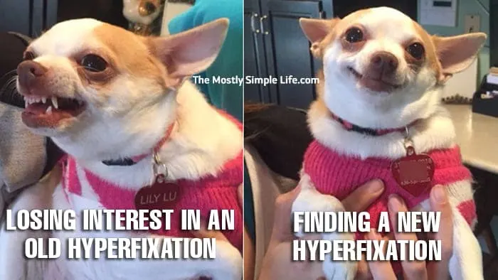 mental health meme about hyperfixations