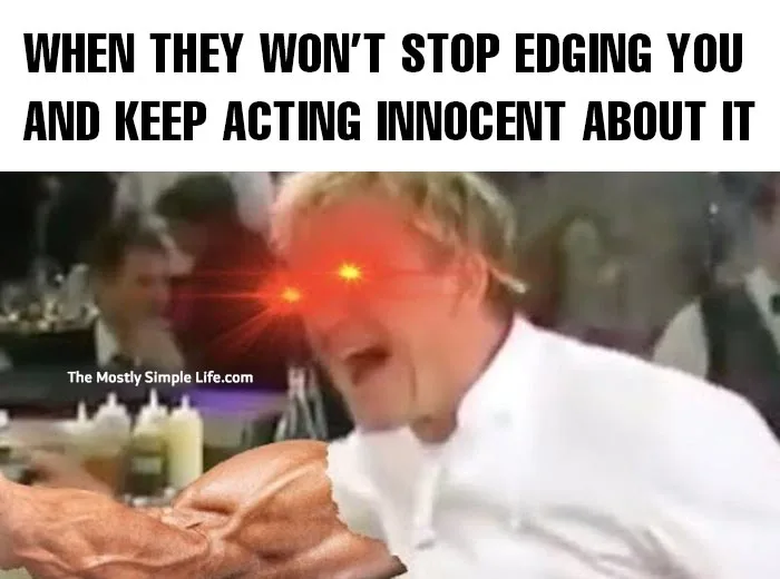 kinky meme with gordon ramsay