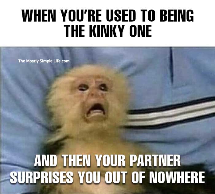 kinky meme with startled monkey