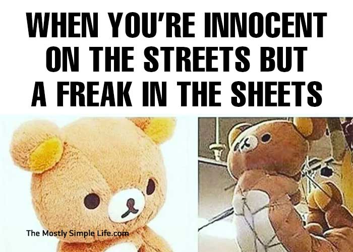 kinky meme with teddy bear