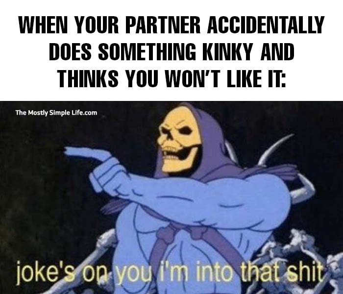 kinky meme with skeletor