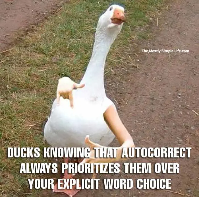 duck meme about autocorrect
